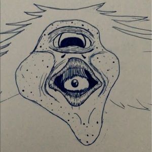 Meet your Posher, Anne